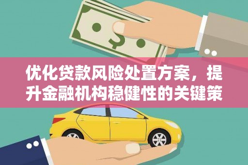 夏县优化贷款风险处置方案，提升金融机构稳健性的关键策略