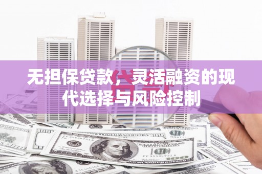夏县无担保贷款，灵活融资的现代选择与风险控制