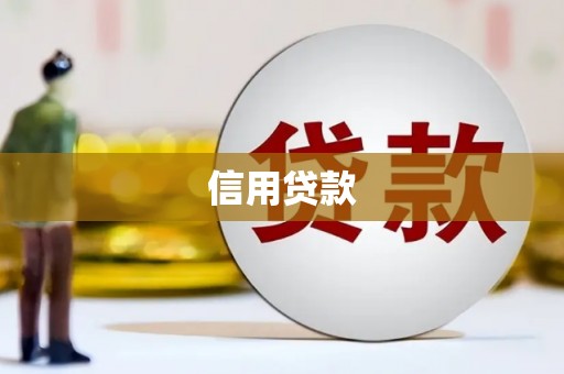 夏县信用贷款