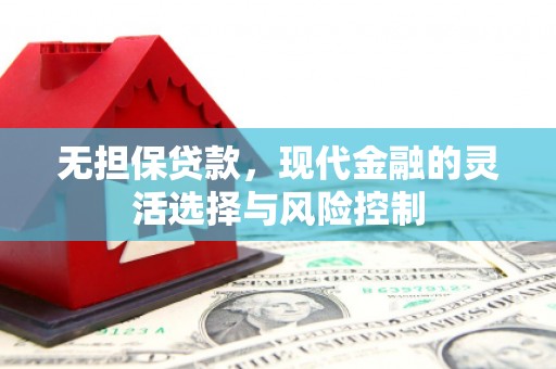 夏县无担保贷款，现代金融的灵活选择与风险控制