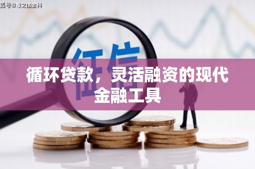 夏县循环贷款，灵活融资的现代金融工具