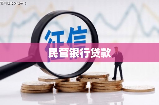 夏县民营银行贷款