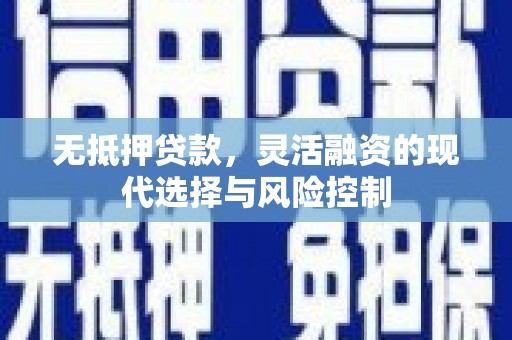 夏县无抵押贷款，灵活融资的现代选择与风险控制