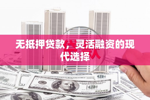 夏县无抵押贷款，灵活融资的现代选择