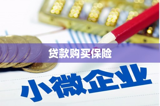 夏县贷款购买保险