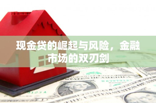 夏县现金贷的崛起与风险，金融市场的双刃剑