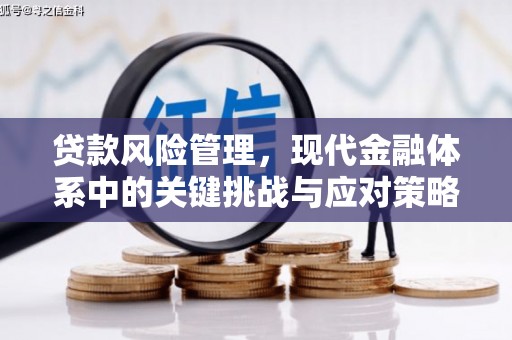 夏县贷款风险管理，现代金融体系中的关键挑战与应对策略