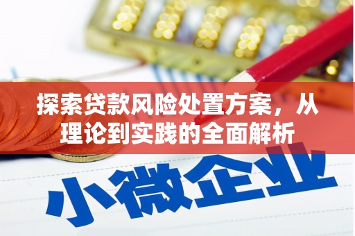 夏县探索贷款风险处置方案，从理论到实践的全面解析