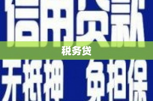 夏县税务贷