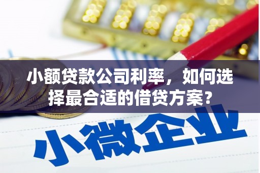 夏县小额贷款公司利率，如何选择最合适的借贷方案？