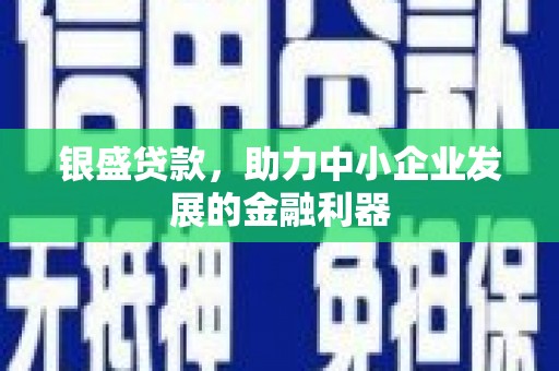 夏县银盛贷款，助力中小企业发展的金融利器