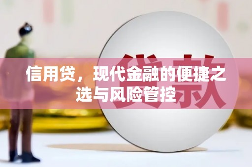 夏县信用贷，现代金融的便捷之选与风险管控