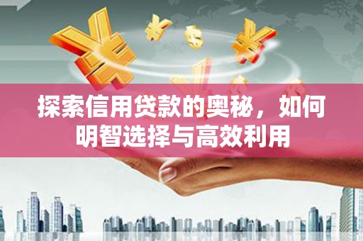 夏县探索信用贷款的奥秘，如何明智选择与高效利用
