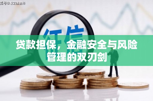 夏县贷款担保，金融安全与风险管理的双刃剑