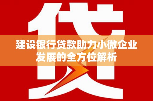 夏县建设银行贷款助力小微企业发展的全方位解析