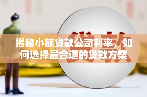夏县揭秘小额贷款公司利率，如何选择最合适的贷款方案