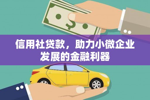 夏县信用社贷款，助力小微企业发展的金融利器