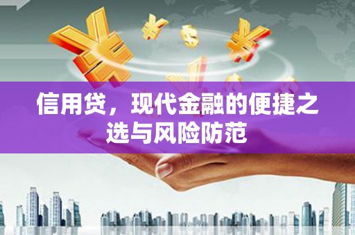 夏县信用贷，现代金融的便捷之选与风险防范