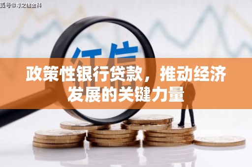 夏县政策性银行贷款，推动经济发展的关键力量