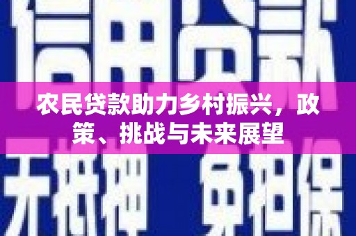 夏县农民贷款助力乡村振兴，政策、挑战与未来展望