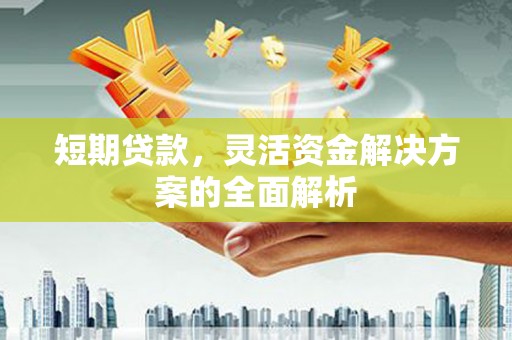 夏县短期贷款，灵活资金解决方案的全面解析