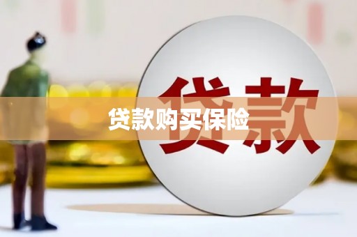 夏县贷款购买保险