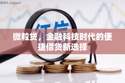 夏县微粒贷，金融科技时代的便捷借贷新选择