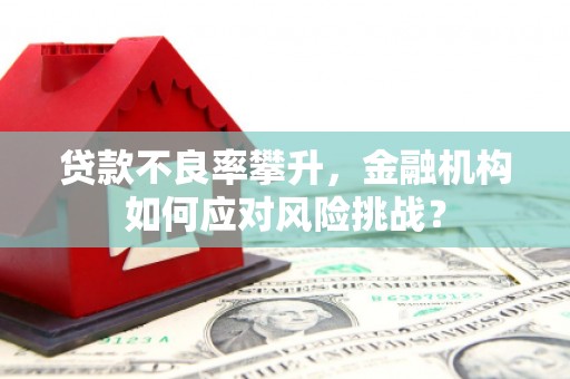 夏县贷款不良率攀升，金融机构如何应对风险挑战？