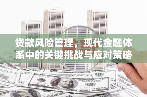 夏县贷款风险管理，现代金融体系中的关键挑战与应对策略