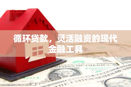 夏县循环贷款，灵活融资的现代金融工具