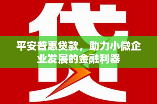 夏县平安普惠贷款，助力小微企业发展的金融利器