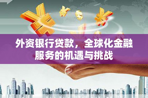 夏县外资银行贷款，全球化金融服务的机遇与挑战