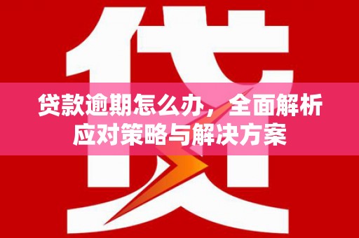 夏县贷款逾期怎么办，全面解析应对策略与解决方案