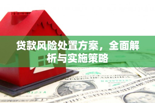 夏县贷款风险处置方案，全面解析与实施策略