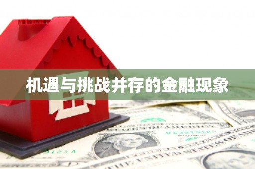 夏县机遇与挑战并存的金融现象