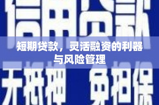 夏县短期贷款，灵活融资的利器与风险管理