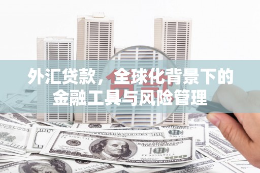 夏县外汇贷款，全球化背景下的金融工具与风险管理
