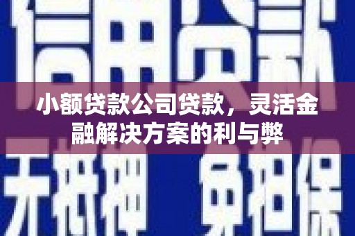 夏县小额贷款公司贷款，灵活金融解决方案的利与弊