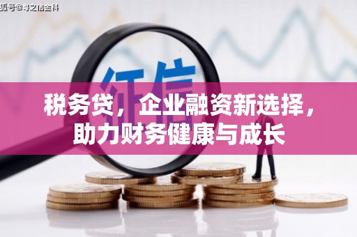 夏县税务贷，企业融资新选择，助力财务健康与成长