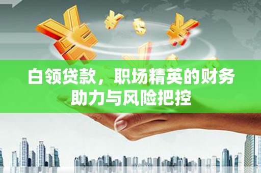 夏县白领贷款，职场精英的财务助力与风险把控